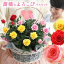 【母の日】天皇杯受賞！花咲く3色よろこび薔薇のバスケット お