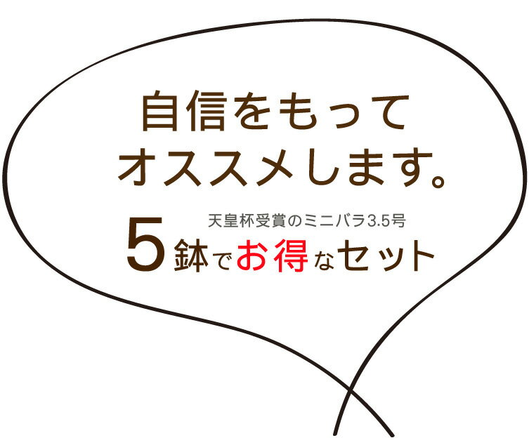 ＜専門店のバラ＞ミニバラ5鉢セット サンクスローズ 送料無料 サンクスフラワー バレンタイン バレンタインデー 女性 誕生日 母 祖母 ギフト 花 生花 退職祝い 男性 父 定年 送別会 結婚 お祝い 妻 鉢植え 花鉢 バラ ミニバラ 配りもの お礼 プチギフト　ホワイトデー格安通販　バレンタイン　人気　ランキング