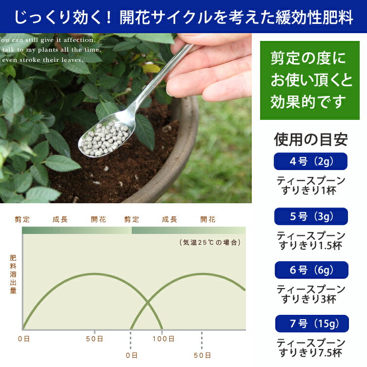 ����ȥ������������� �ߥ˥Х����� �����ǥ˥� ���� ��� ��ɾ�� ���󥰥��顼 �ߥ˥Х����� �Х� �� �����ǥ˥�