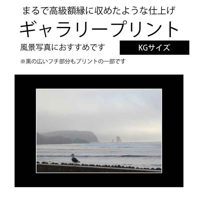 ギャラリープリント KGサイズ 高級額縁に入れたような写真プリント スマホやデジカメから作れます
