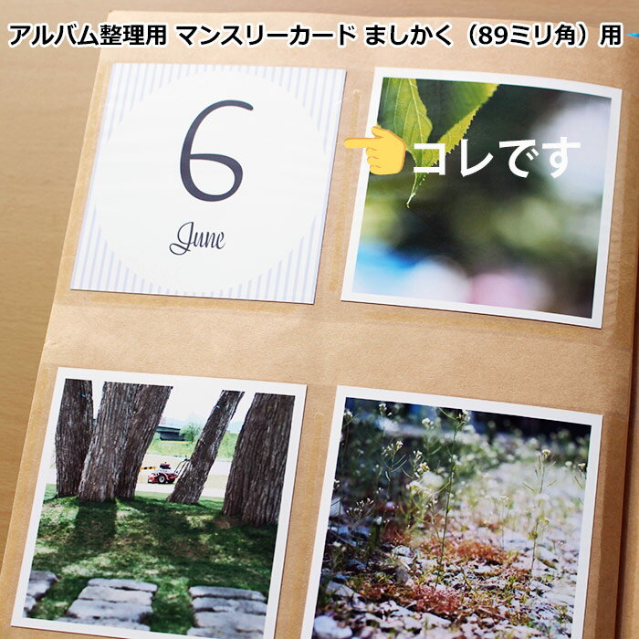 Rakuten - アルバム整理 マンスリーカード 成長記録 タイトル ましかくプリント用 16枚セット 送料無料