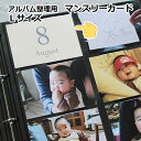 アルバム整理 マンスリーカード 成長記録 タイトル Lサイズ用 16枚セット 送料無料