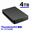 《送料無料》Thunderbolt3 Portable NVMe SSD 4TB / CENTURY/センチュリー/外付けSSD CPNVTB3V2-4000