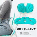 【 送料無料 】 姿勢矯正 椅子【最新昇級 腰痛 椅子】骨盤サポートチェア 骨盤から腰をサポート 高反発メモリー綿 腰当て 姿勢矯正 クッション 軽量 持ち運び...