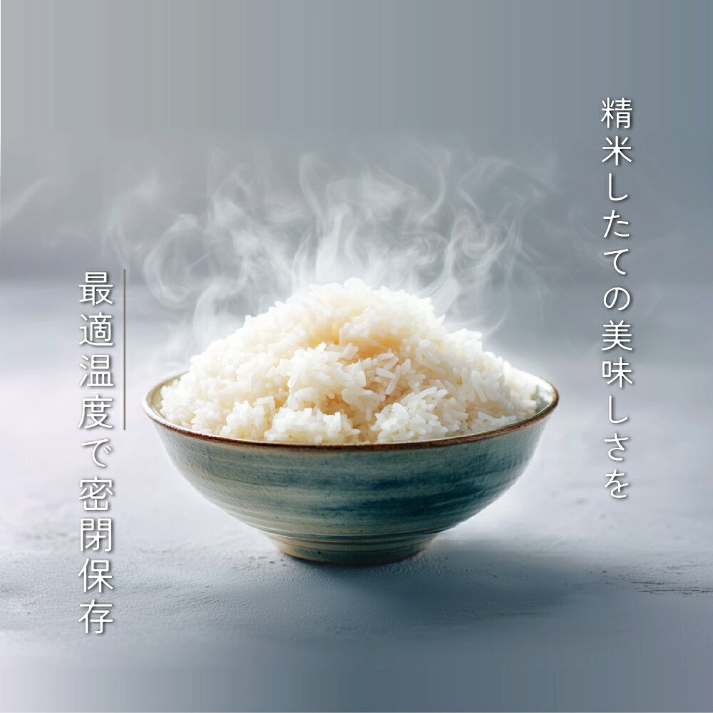 ★1年保証★保冷米びつ ライスクーラー 10kg / 20kg / 30kg スリム おしゃれ 保冷ライスストッカー 自動温度調節 1合計量 鮮度保持 酸化防止 防虫対策 静音 省エネ 日数計算付き SaiEL 米保存容器 キッチン収納 コンパクト 省スペース オシャレ 快適 高機能 鮮度長持ち 白米