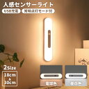 【店内全品14%OFFクーポン】LEDライト 人感センサー 照明 感知式 ライト 人感 センサーライト USB充電式 充電式 屋外 室内 小型 玄関 クローゼッ...