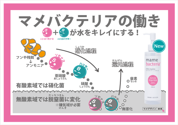 マメデザイン マメバクテリア・ニトロマリン 200mL 3