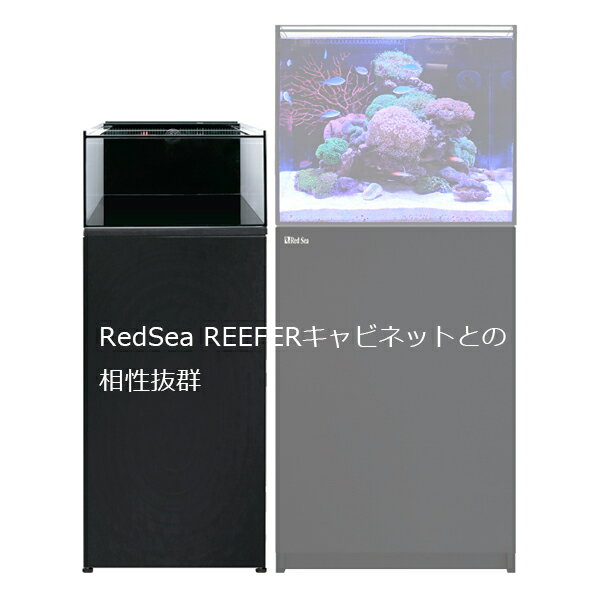 ���ͥ��ȥ��󥯥��꡼��4�����å�CONNECT TANK SET