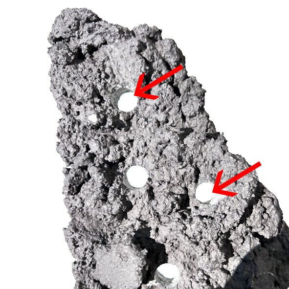 �͹� �饤�֥��å� �ޥ�饤�֥��å����ץ졼�ȡ��ץ饰�ۡ���ץ饹�����졼���顼