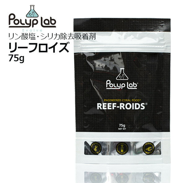 REEF ROIDSリーフロイズ 7