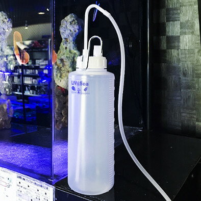 LIVESea �����ե���ܥȥ� 1��åȥ�