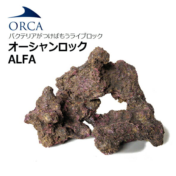 楽天CEPPO WEB SHOPバクテリアがつけばもう ライブロック！ORCA OCEAN ROCK ALFAオーシャンロック アルファ　1BOX入り 【お取寄せ商品】