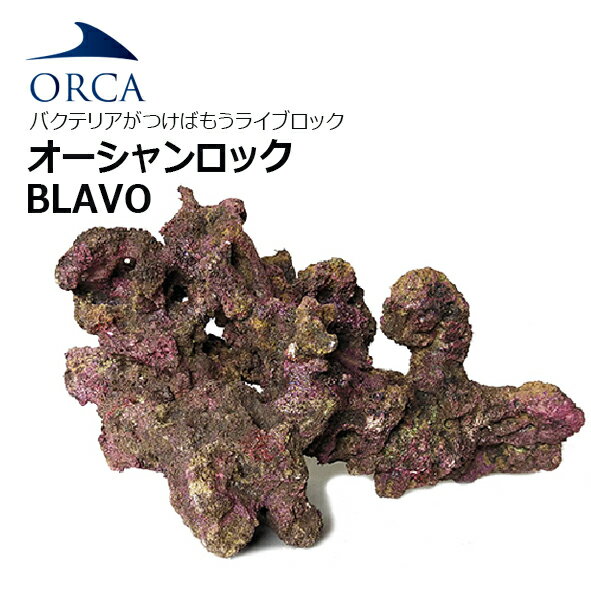 OSEAN ROCK BLAVO ORCA　オーシャンロック BLAVO　1BOX入り ■特徴 ・天然ライブロックよりも30％軽量 ・バクテリアがつけばもうライブロック ・レイアウトしやすいリアルな形状、色、質感 ・水質に影響を与えず、生き...