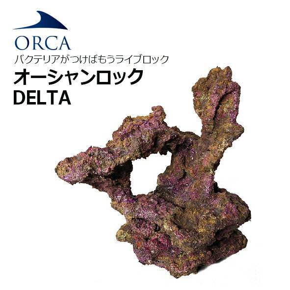 バクテリアがつけばもう ライブロック！ORCA OCEAN ROCK DELTA　オーシャンロック デルタ　1BOX入り 【お取寄せ商品】