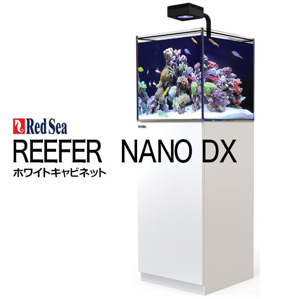 レッドシー REEFER NANO DX