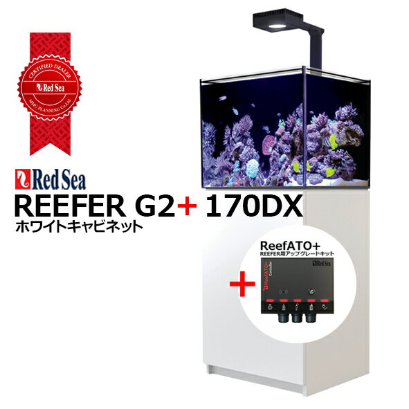 楽天市場】レッドシー reefer 170の通販 楽天市場】レッドシー reefer 170の通販