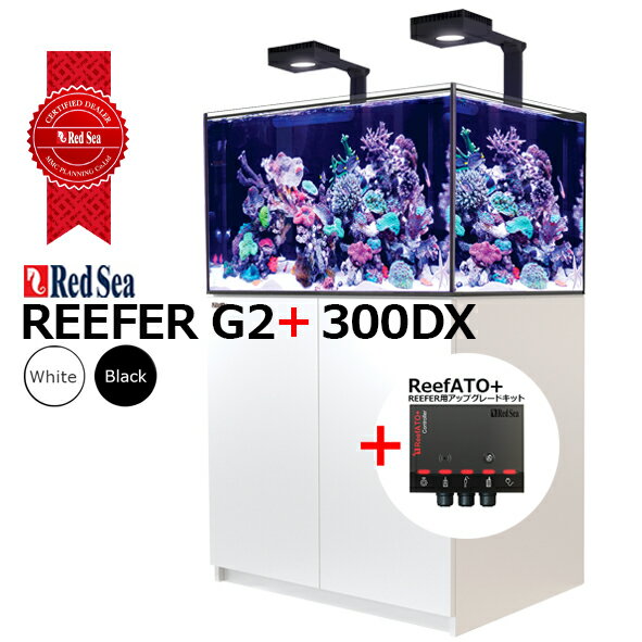 åɥREEFER 300DX G2 +