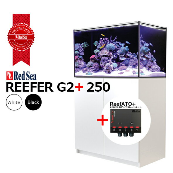 レッドシー・リーファー RedSea REEFER G2+ 250 新しいREEFER G2＋ ・リーフアクアリウムの基礎を担う、パーファクトなシステム 　REEFER G2+システムは、画期的な「ReefATO+」、新しいウォーターマネージメントシステム、強化されたキャビネット、ReefMat対応サンプ、2年間の延長保証プランを備えています。 　また、REEFERの伝統を引き継いで、お好みの周辺機器でシステムをカスタマイズすることも可能です。 　REEFER G2+システムは、LEDライトやウェーブポンプ、ドーサー、ろ過機器を、ReefBeatアプリを介して1つのスマートエコシステムとして操作できる、「レッドシー・エクスペリエンス（究極のリーフ体験）」のための理想的な基本システムです。 ■REEFER G2+ 250の仕様 ・キャビネット色：ホワイト／ブラック ・自動給水システム：「ReefATO+」標準装備 ・照明：付属なし ・水槽サイズ：幅90cm×奥行き50cm×高さ53cm ・キャビネット含む高さ：140cm ・システム総水量：245リットル ・飼育槽水量：203リットル ・サンプ水量：42リットル ・ウルトラクリヤーフロントガラス：12mm ・ウルトラクリヤーサイドガラス　：12mm ・底ガラス：12mm ・ホース接続外径：16mm ・循環ポンプ：付属なし（適合ポンプ流量：2500L/h） ・推奨ポンプ：「ReefRun5500-DCポンプ」（別売り） ■RedSea REEFER G2+ の主な特徴 ・ウルトラクリアーガラス採用のフレームレス水槽 REEER G2+は、ウルトラクリアーガラスを採用し、斜めにエッジ処理されたフレームレス水槽で構成されています。 ・強化合板製キャビネット 水槽との一体感に優れた耐海水仕様のキャビネットは、すべて耐久力の高い被覆合板製となっています。 ・サイレント・ダウンフローシステム 大きくなり長方形に変化したダウンフローパイプの吸水口は、水流の変化に対する感度を低下させることで、より静かな運転を実現します。 ・バルクヘッドコネクターキット メトリックとUSA規格の両方の配管に適合するバルクヘッドコネクターは個別に入手できるので、サンプ用の配管を自由にカスタマイズできます。 ・高精度バルブ すべてのモデルで、ダウンフローパイプに新しく改良された高精度バルブが適用されました。流量の調整が容易になり、静音運転への調整が簡単に行えます。 ・ReefATO+ REEFER G2+の全モデルには、水量と塩分濃度を安定させ、正確な温度モニターと高感度の水漏れ検知器を備えた、ReefATO+システムが搭載されています。 ・ReefMat対応 REEFER G2+サンプには、「ReefMat」設置時に簡単に外せるメカニカルフィルトレーションコンパートメント（ミクロンフィルターバッグとメディアカップ付属）が装備されています。 ・ReefLED装備 デラックスバージョンには、ReefLED 90ライティングユニットと取り付けアームが付属しています。 ■配送について ・西濃運輸での配送となります。 ・日、祝日の受け取りでの配送は受け付けておりません。 ・日にち指定は可能ですが、時間帯指定はできません。 ・発送後、配送伝票番号をお知らせしますので、配送時間などは直接運送業者にご確認ください。 ・この商品は3個口となり、別途 19,000円〜（地域別送料）がかかります。 ■発送及び荷受け時の注意 ・受取りは運送会社の規定により、「2マンオプションサービス」でのお渡しとなります。 ・北海道・沖縄・離島などには配送ができません。 ■店頭受取りについて 楽天市場で注文し、店頭で直接受け取ることができます。 ・大型商品の為、店頭での直接受取りをお勧めします。 ・店頭受取りの場合には送料はかかりません。ご注文時に「店頭受け取り希望」とご記入ください。 ・店頭受取りの場合は商品の詳しい説明をスタッフから聞けます。 ・店頭受取りの場合はキャビネット組立サービス（オプション）をご提供できます。 検索キーワード：セポ　ceppo ろ過槽、水槽、サンゴ水槽、レッドシー、オーバーフロー水槽、リーファー水槽、海水魚、セポ、CEPPOレッドシーREEFER 250 G2+ RedSea リーフシステム水槽 REEFER G2＋は従来のG2シリーズに新製品のReefATO＋を標準装備したシリーズで、より正確な自動給水と水温管理、水漏れの監視を可能とした次世代の水槽システムです。 2