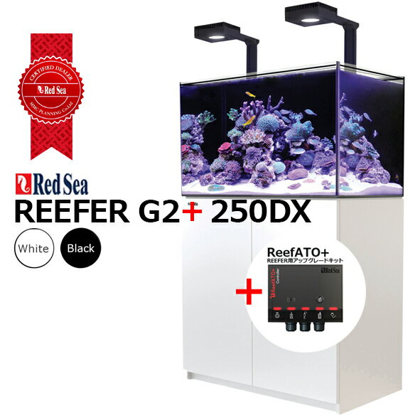 åɥREEFER 250DX G2+