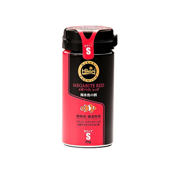 ���硼��󡦥ץ��Х����ƥ������Ҥ���ץ�ߥ��ࡦ�ᥬ�Х��� ��åɡ�S��