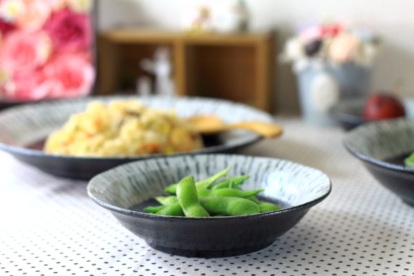黒潮 5寸浅鉢 和小鉢 おつまみ鉢 煮物鉢 中鉢 刺し身皿 和食 和食器 国産 美濃焼 訳あり