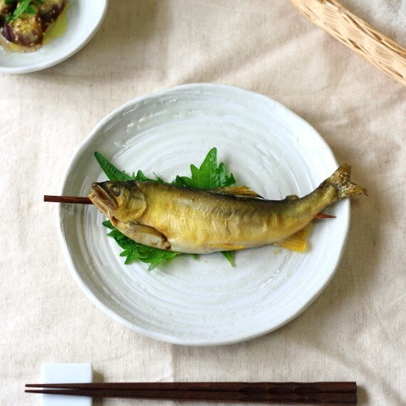 吉祥粉引 21.5cmディナープレート 立体的な釉薬デザインがただの和食器ではない パスタ皿 丸皿 和洋食 メインディッシュプレート 食器 国産 美濃焼 訳あり