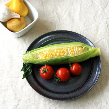 Ŵ뾽 ݷ 22cmǥʡץ졼 δ ѥ ݻ ο ᥤǥå   ǻ 