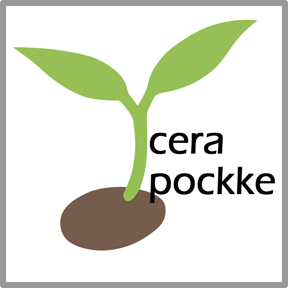 Shop icon