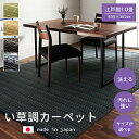 【5月1日全品P10倍】ラグ ござ 洗える カーペット ダイニング ラグ 丈夫 日本製 国産 除菌スプレー 対応【バルカン 435x352cm 江戸間10畳】※...