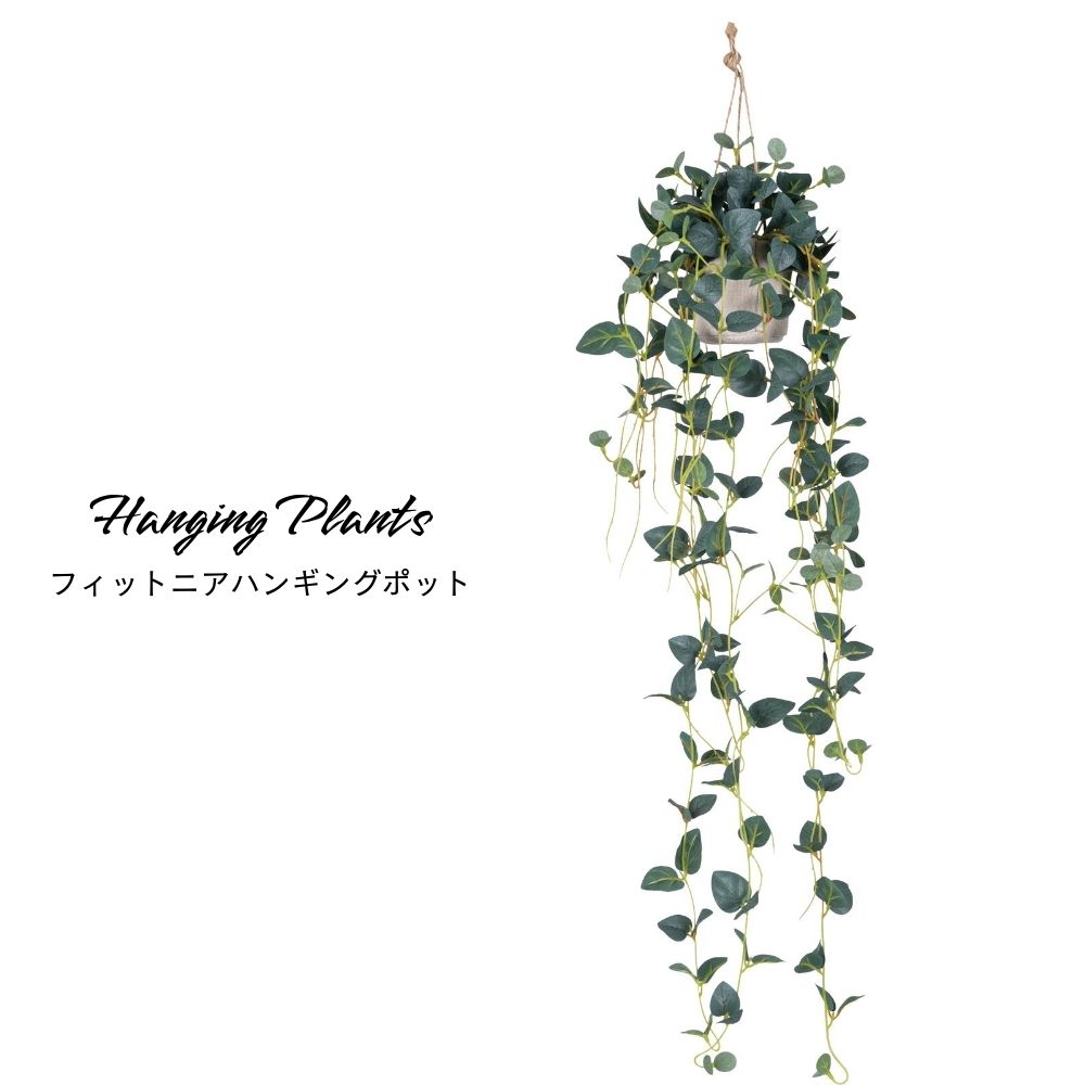 フェイクグリーン 吊り下げ ハンギング 造花 観葉植物 おしゃれ キッチン【フィットニアハンギング】※..