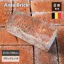レンガ ブリック 約210×100×65mm 赤 茶 ベルギー製 ハンドメイドレンガ 暖炉 レンガブロック アンティークレンガ 敷石 アプローチ 花壇 造園 ガーデニング エクステリア DIY【アンテブリック 950 エステートバロック 8個セット販売】※代引き不可・メーカー直送品