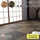 【5月1日全品P10倍】洗える ござ 日本製 国産 カーペット 丈夫 敷詰 ラグ 敷物 ペット【ラフテル 87-174cm 江戸間1畳】