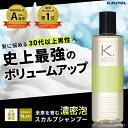 ケフトル メンズ スカルプシャンプー アミノ酸 無添加 ハイブリッド濃密泡 男性用 ノンシリコン 250ml