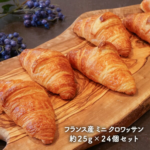 フランス産 ミニ クロワッサン約25g×24個（12個×2P）セット［冷凍］【送料無料】【2~3営業日以内に出荷】