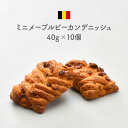 ＜＜ ITEM INFORMATION ＞＞ 名称 ミニメープルピーカンデニッシュ40g×10個 商品詳細 香ばしいピーカンナッツが食欲をそそります。 甘いメープルシロップもたっぷりかかっていて、 ナッツとメープルシロップのリッチな香りが感じられます。 デニッシュのサクサク感とカリッとしたナッツの食感も楽しい商品です。 原材料名 【メープルピーカン】小麦粉、マーガリン、液糖（転化糖シロップ、ぶどう糖液、砂糖、食塩）、ペカンナッツ、液糖（ぶどう糖果糖液糖、砂糖）、練乳、砂糖、植物油脂、イースト、液全卵、コーンスターチ、メープルシロップ、小麦粉調製品、食塩 / ラクチトール、 香料、増粘剤（HPMC)、酵素 【シロップ】ぶどう糖果糖液糖、ぶどう糖液（小麦を含む）、砂糖、食塩 / 香料 栄養成分表示(100g当たり) 熱量417kcal たんぱく質4.8g 脂質27.0g 炭水化物39.9g 食塩相当量0.5g アレルギー 小麦、卵、乳 お召し上がり方 冷凍のまま、余熱をした170℃のオーブンで約25分焼成 内容量 40g×10個 賞味期限 お届け後、20日以上 保存方法 -18℃以下（冷凍庫）で保存してください。 原産国名 ベルギー 販売者 阪神酒販株式会社 兵庫県神戸市兵庫区吉田町2-13-6 配送方法 冷凍のみ 備考 ※同一商品は6セットまで同梱可 ※写真はイメージです。実際にお届けの商品は形状やパッケージが異なる場合があります。