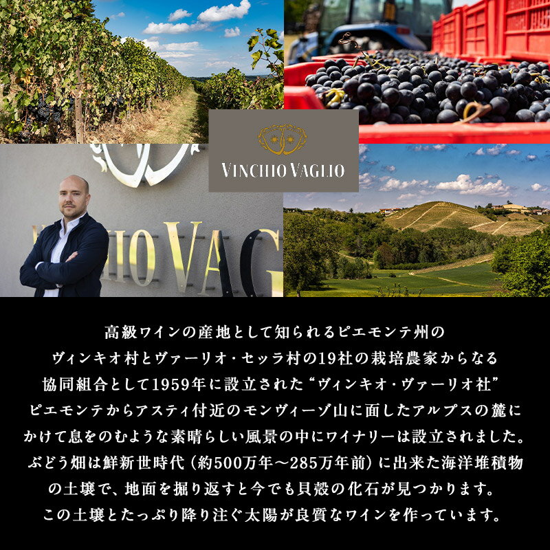 6���फ�����٤� �����󥭥��������ꥪ�����å� D.O.Cǧ�� BIB�磻�� �ξﲹ�ϡ�3��4�Ķ�������˽в١�[W] ����� ����� ���ե�