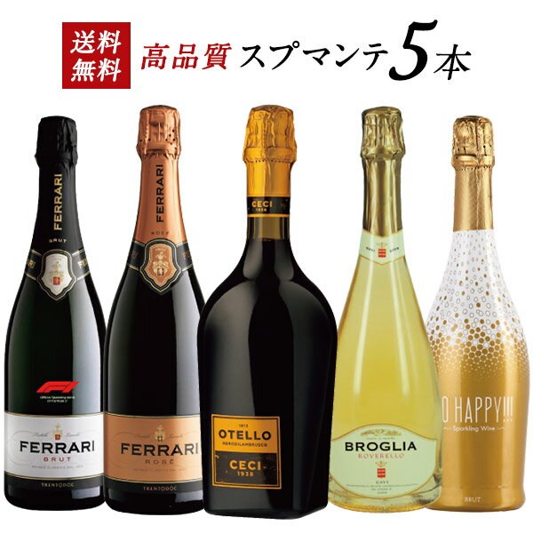 【送料無料】 F1 限定 フェッラーリ入り イタリア スプマンテ 贅沢 飲み比べ 5本セット 【3～4営業日以内に出荷】[W] スパークリングワイン シャンパン製法 シャンパーニュ製法 瓶内二次発酵 甘口ワイン F1フェッラーリ 母の日 父の日 ギフト