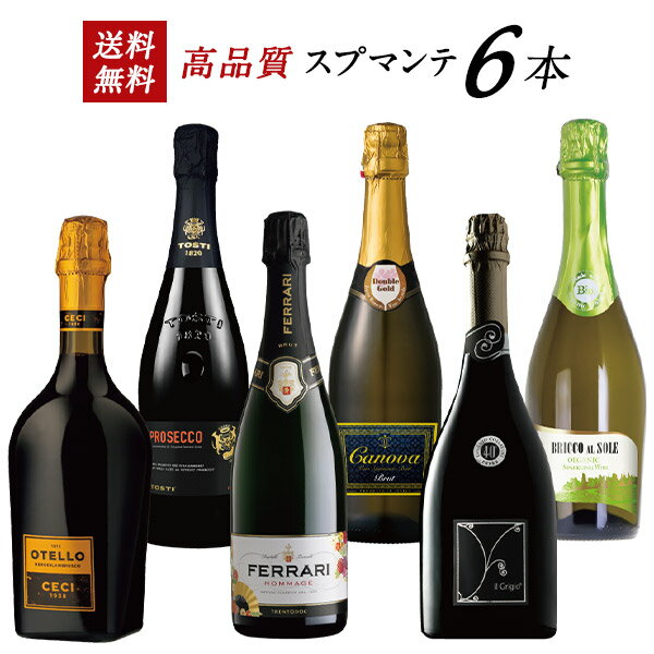 【送料無料】 日本限定 フェッラーリ オマージュ 入り イタリア スプマンテ 6本 セット 【3～4営業日以内に出荷】[W] イタリアワイン スパークリングワイン シャンパン製法 シャンパーニュ製法 瓶内二次発酵 甘口ワイン 母の日 父の日 ギフト