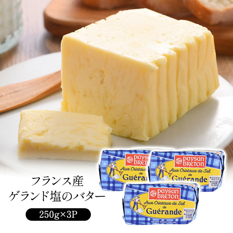 フランス産 ゲランド塩のバター 250g×3P［冷蔵/冷凍可］【3～4営業日以内に出荷】のサムネイル
