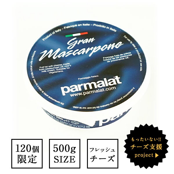 マスカルポーネ パルマラット 500g［冷蔵］【3〜4営業日以内に出荷】[賞味期限：2020年7月8日]