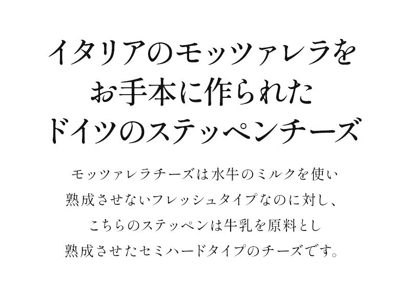 セレスト(cerest)の業務用 モッツァレラ チーズ　ドイツ産ステッペン カット 約1kg（900〜1,100g程度）［冷蔵/冷凍可］【3～4営業日以内に出荷】[D3]｜アングル2