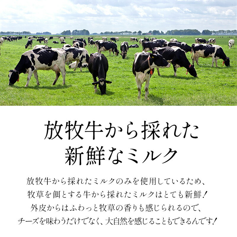 �롦�ե�����󡦥ե��ޡ�������80g����¢�ϡ�ͽ�������