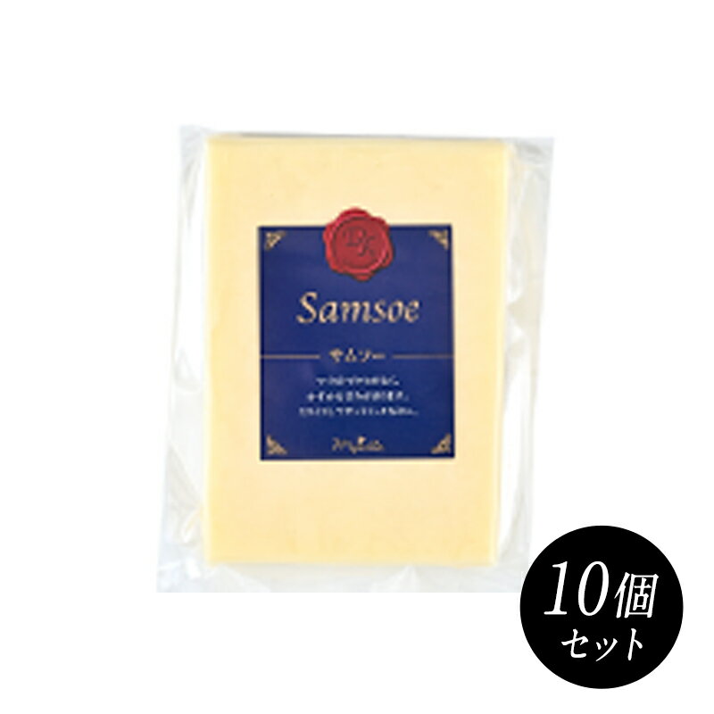 Other - サムソー 約100gカット×10個［賞味期限：出荷日より7日以上］［冷蔵/冷凍可］【3〜4営業日以内に出荷】[D][R]