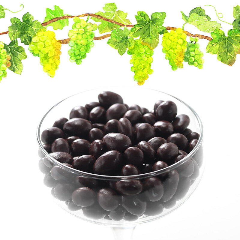 MAISON VERDIER ぶどうのチョコ Kif-Kif（キフキフ） 箱入り 25g［常温/全温度帯可］【3〜4営業日以内に発送】[C][R] 3