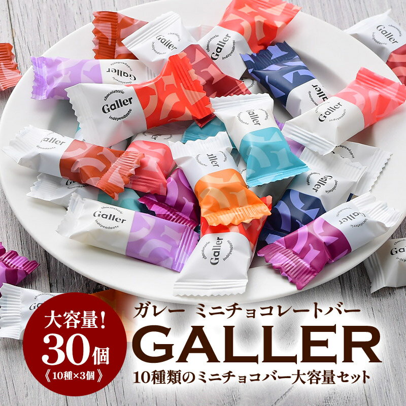 ガレー ミニチョコレート 10種30粒［メール便］【送料無料】【1～2営業日以内に出荷】
