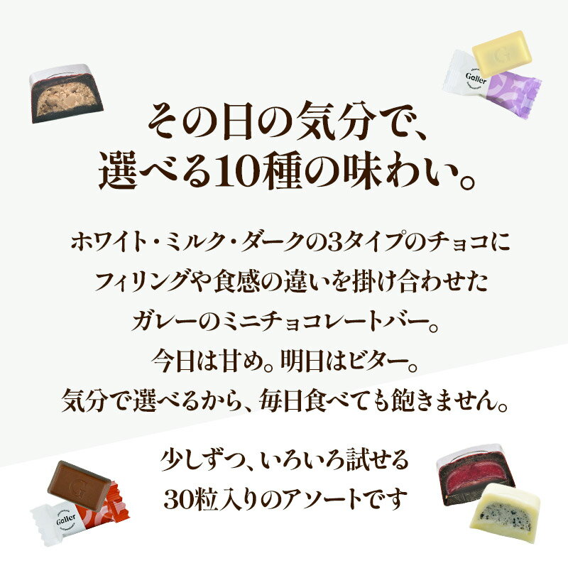 ガレー ミニチョコレート 10種30粒［メール便］【送料無料】【1～2営業日以内に出荷】