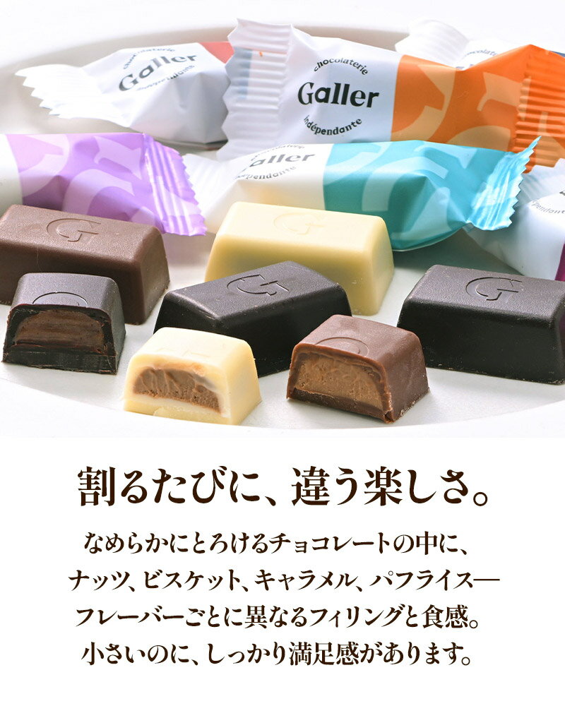 ガレー ミニチョコレート 10種30粒［メール便］【送料無料】【1～2営業日以内に出荷】