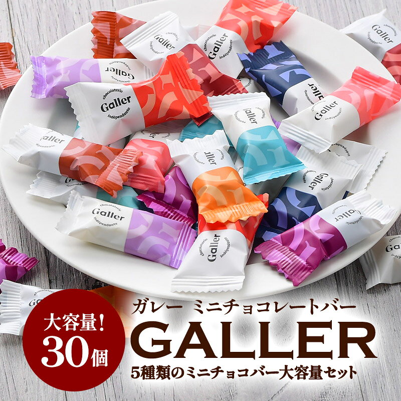 ガレー ミニチョコレート 10種30粒［メール便］［予約販売：10月22日?28日の間に出荷］［賞味期限：2026年11月21日］【送料無料】[C]