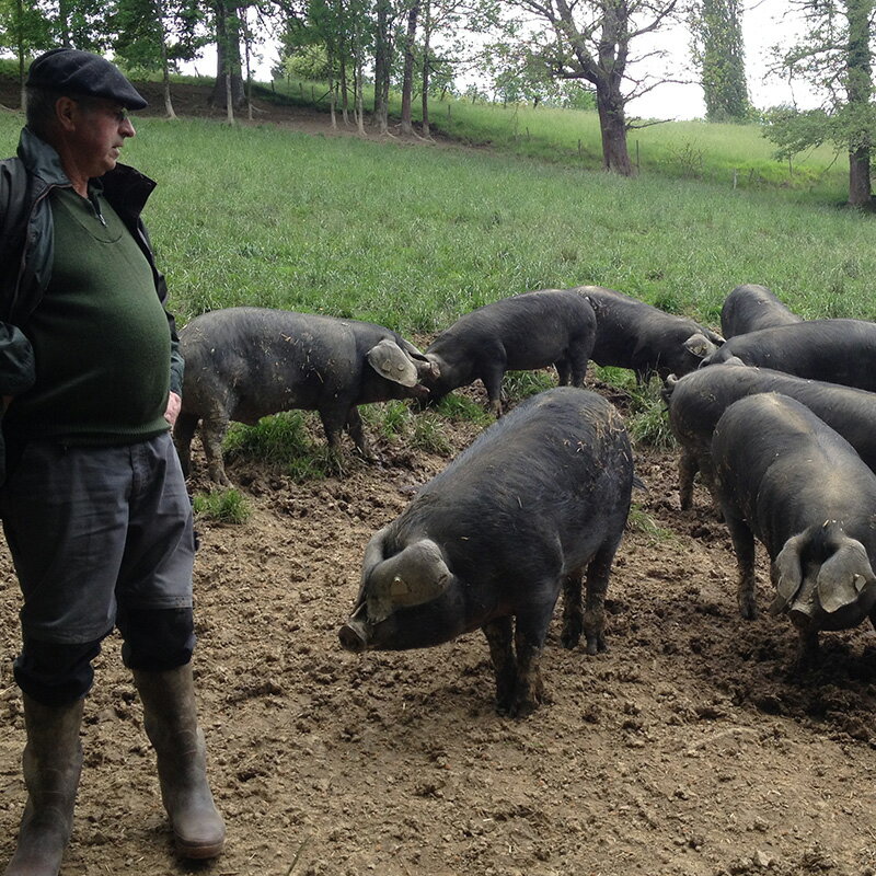 �����ϥึ�ڤΤߡϥե�󥹻� �ӥ������� ���ϥ� 24������� ���դ� ���� ��7Kg��5Kg��8Kg�ˡ�����̵���� ����¢�Τߡϡ�4��5�Ķ�������˽в١�