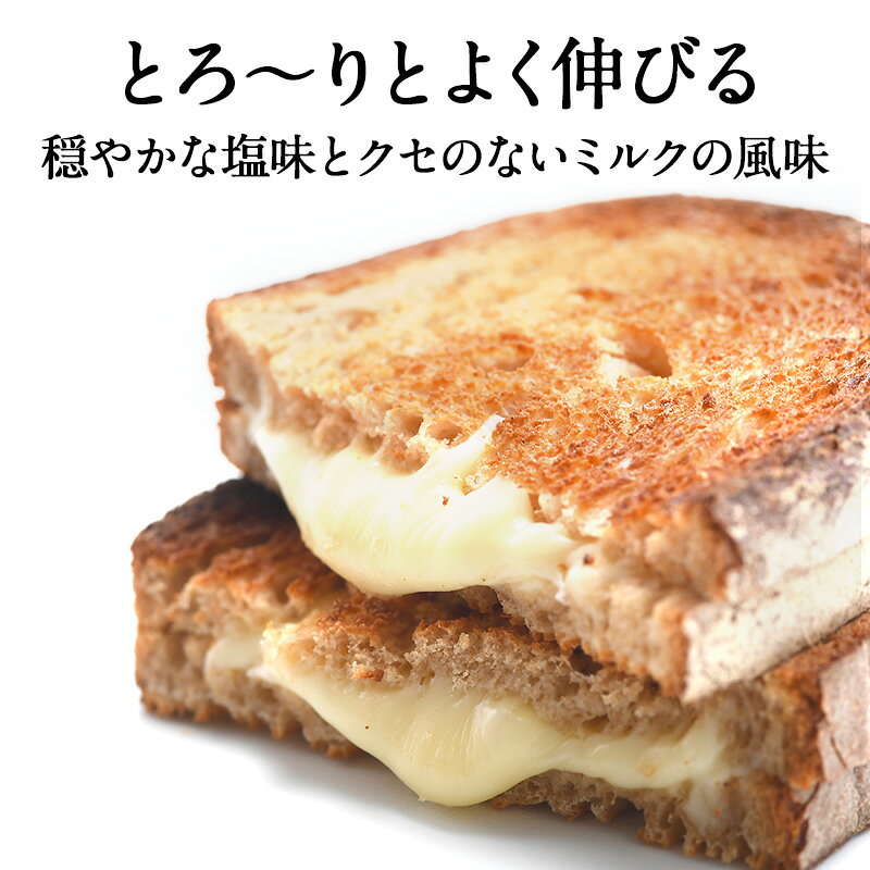 セレスト(cerest)のドイツ産 ステッペンスライス 1kg［冷蔵/冷凍可］【3〜4営業日以内に出荷】[D3] スライスチーズ スライス｜アングル2